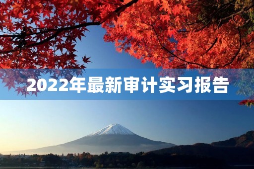 2022年最新审计实习报告 2022年最新审计实习报告