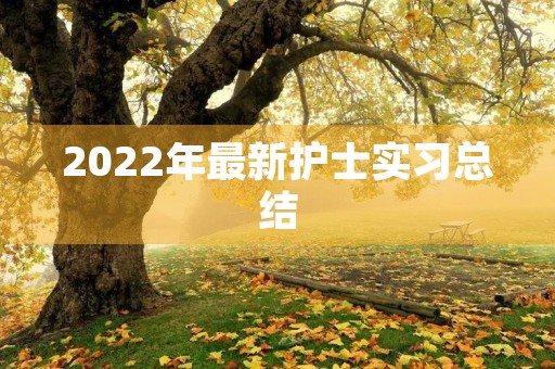 2022年最新护士实习总结