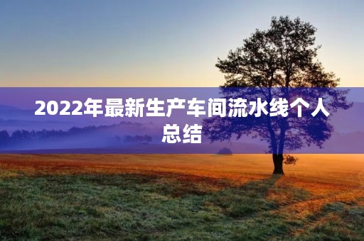 2022年最新生产车间流水线个人总结