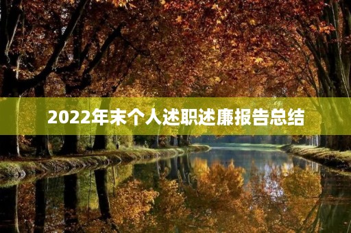 2022年末个人述职述廉报告总结