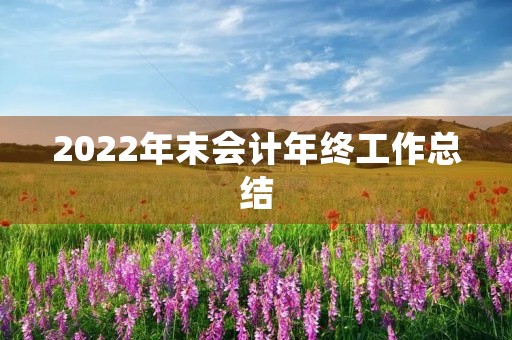2022年末会计年终工作总结