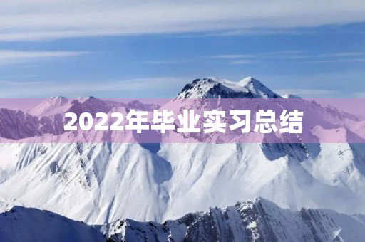 2022年毕业实习总结