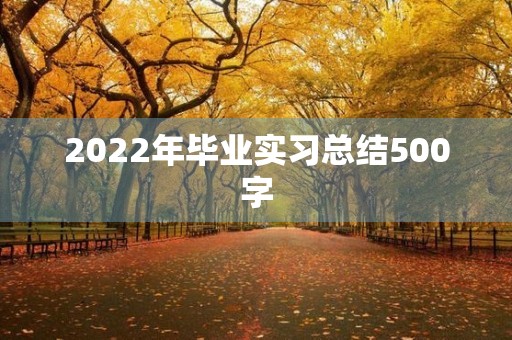 2022年毕业实习总结500字 2022年毕业实习总结500字