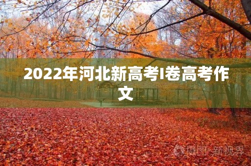 2022年河北新高考I卷高考作文 2022年河北新高考I卷高考作文