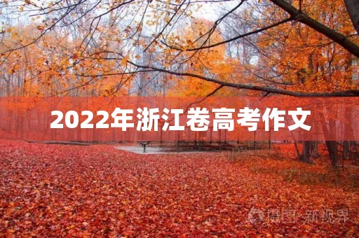 2022年浙江卷高考作文 2022年浙江卷高考作文
