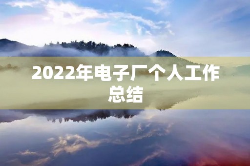 2022年电子厂个人工作总结