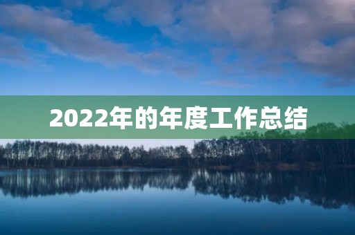 2022年的年度工作总结