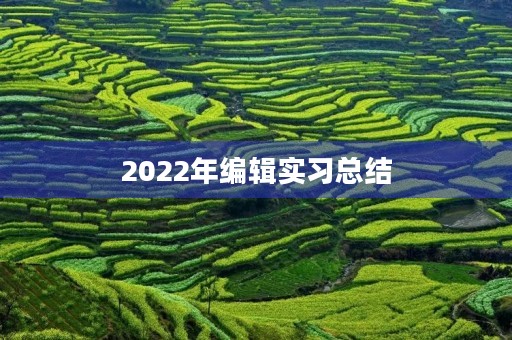 2022年编辑实习总结