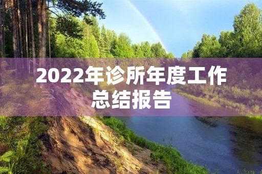 2022年诊所年度工作总结报告