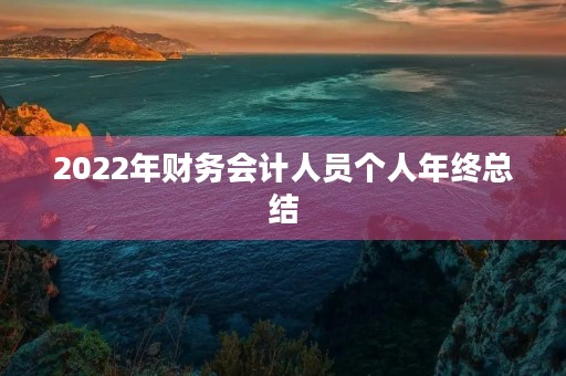 2022年财务会计人员个人年终总结