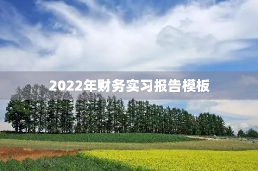 2022年财务实习报告模板 2022年财务实习报告模板