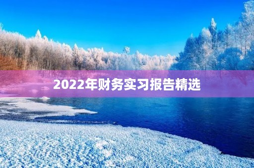 2022年财务实习报告精选 2022年财务实习报告精选
