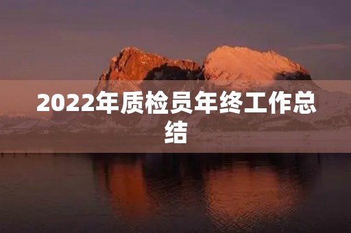 2022年质检员年终工作总结
