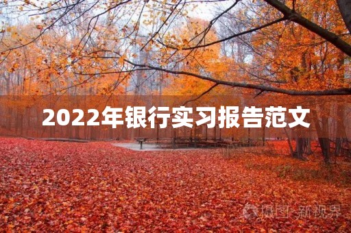 2022年银行实习报告范文