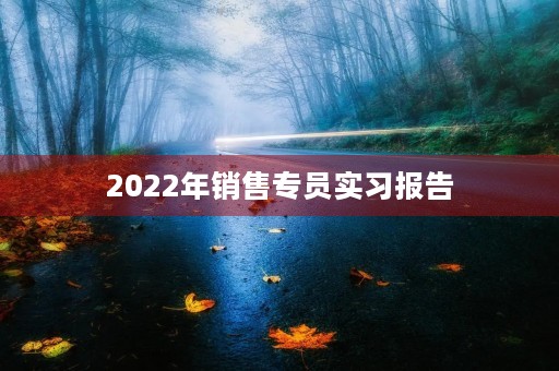 2022年销售专员实习报告