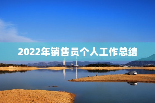 2022年销售员个人工作总结