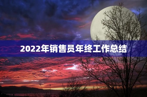 2022年销售员年终工作总结