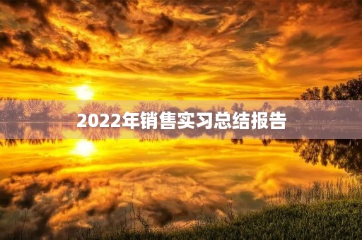 2022年销售实习总结报告 2022年销售实习总结报告