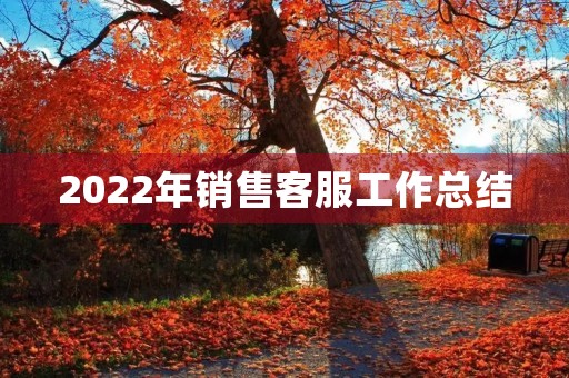 2022年销售客服工作总结