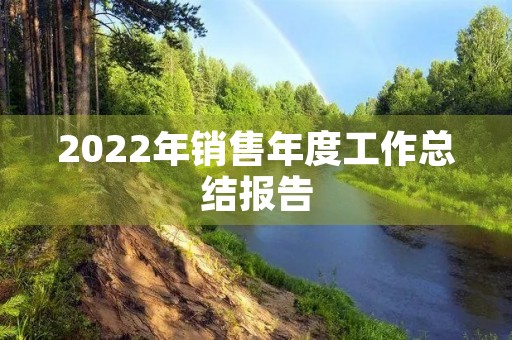 2022年销售年度工作总结报告