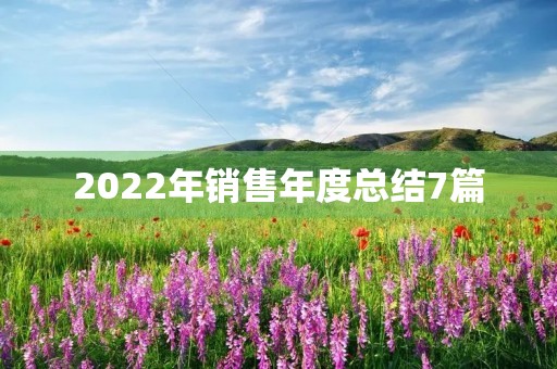 2022年销售年度总结7篇