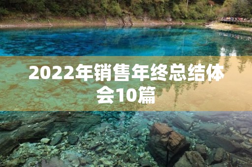 2022年销售年终总结体会10篇