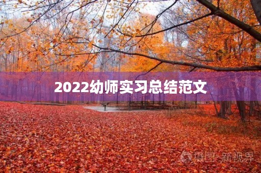 2022幼师实习总结范文