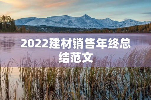 2022建材销售年终总结范文