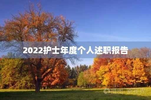 2022护士年度个人述职报告