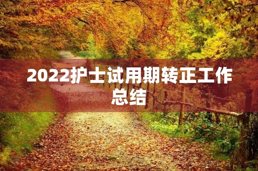 2022护士试用期转正工作总结