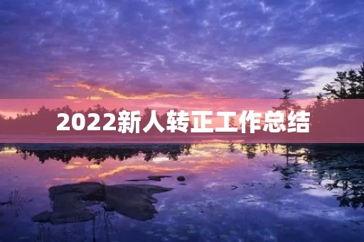 2022新人转正工作总结