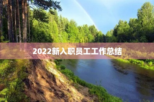 2022新入职员工工作总结