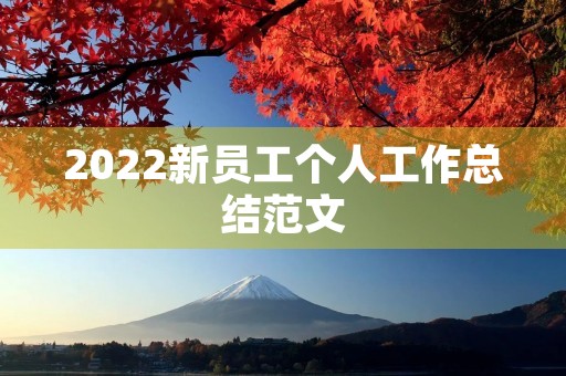 2022新员工个人工作总结范文