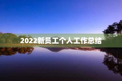2022新员工个人工作总结