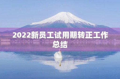 2022新员工试用期转正工作总结