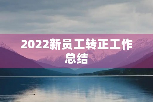 2022新员工转正工作总结