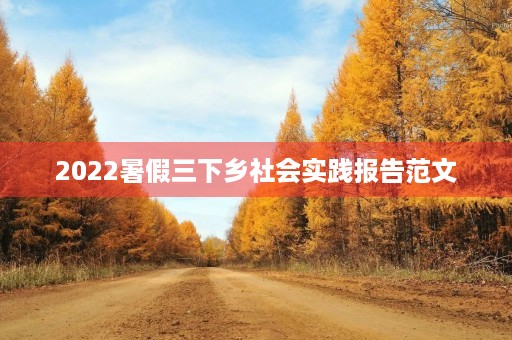 2022暑假三下乡社会实践报告范文 2022暑假三下乡社会实践报告范文