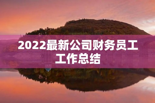 2022最新公司财务员工工作总结