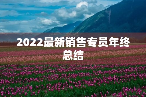 2022最新销售专员年终总结
