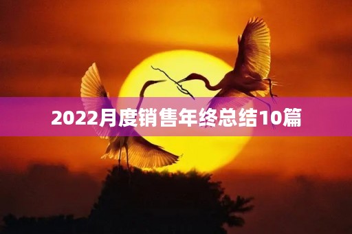 2022月度销售年终总结10篇