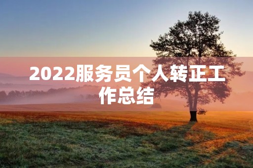 2022服务员个人转正工作总结