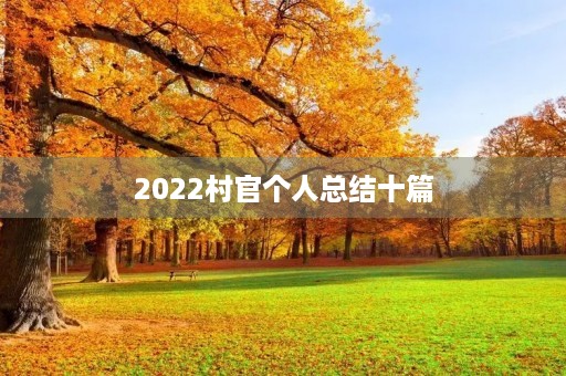 2022村官个人总结十篇