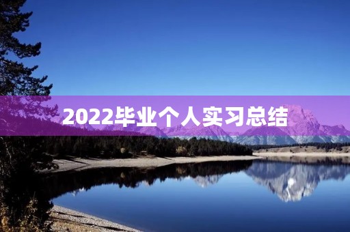 2022毕业个人实习总结（12篇）