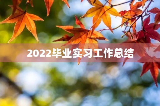 2022毕业实习工作总结（20篇）