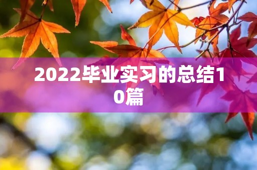 2022毕业实习的总结10篇
