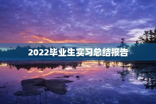 2022毕业生实习总结报告
