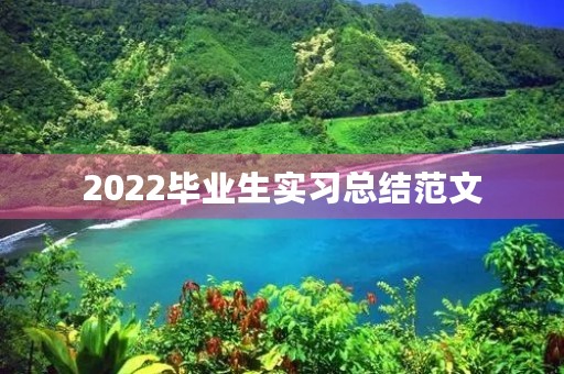 2022毕业生实习总结范文