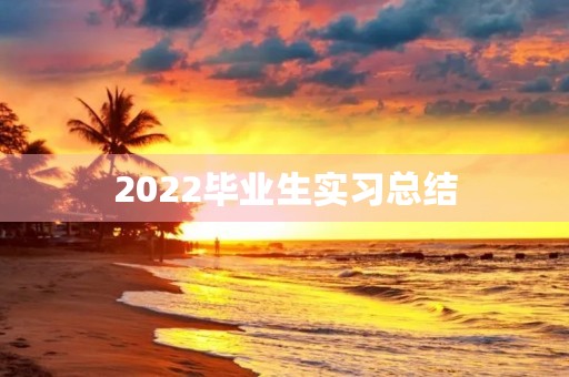 2022毕业生实习总结