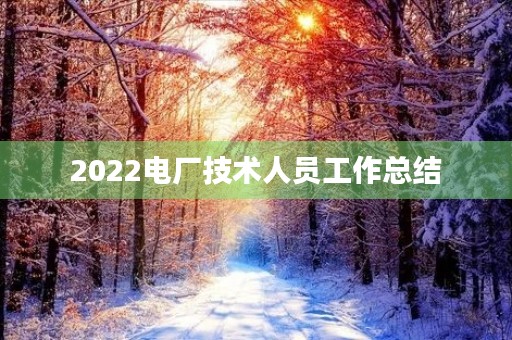 2022电厂技术人员工作总结