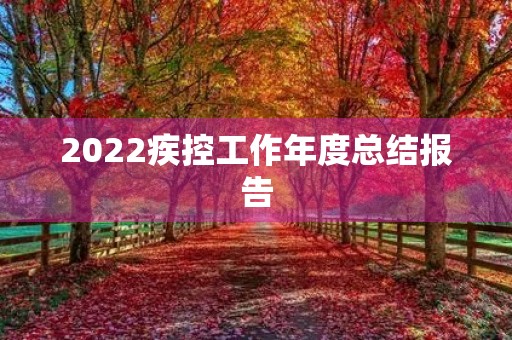 2022疾控工作年度总结报告